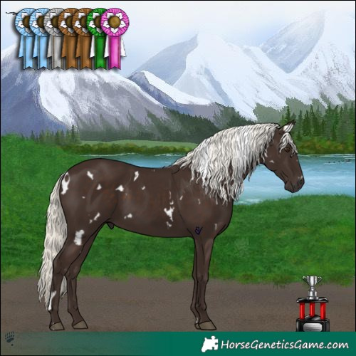 Horse Color:White Spotted Liver Chestnut Mushroom 