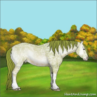 Horse Color:Watercolor Red Onyx Ice