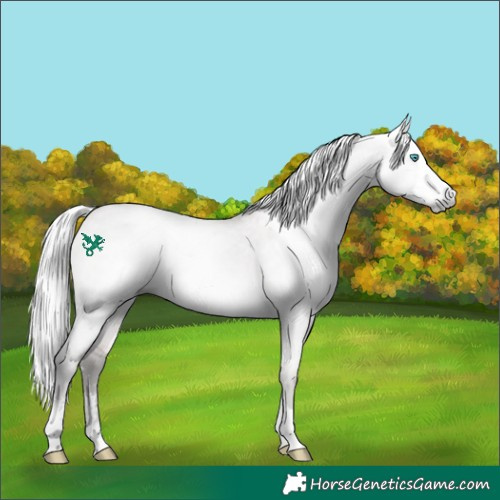 Horse Color:Gray Platinum Silver Perlino Dun Sabino Tobiano 