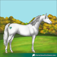 Horse Color:Gray Platinum Silver Perlino Dun Sabino Tobiano
