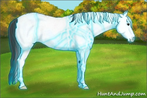 Horse Color:Thunderstruck White Spotted Brown Ice
