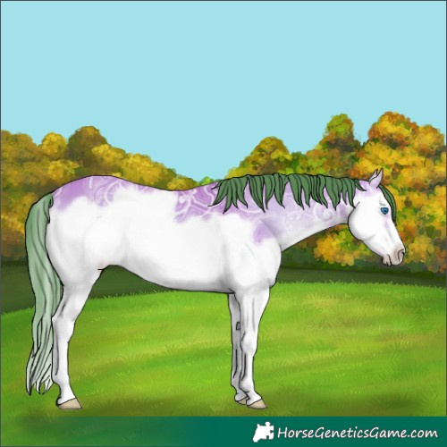 Horse Color:Watercolor Bay Ice Onyx Splash Frame