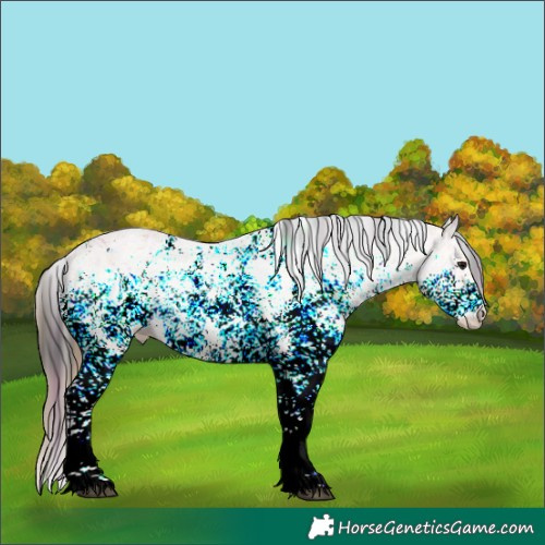 Horse Color:Plaid  White Spotted Bay Ice 