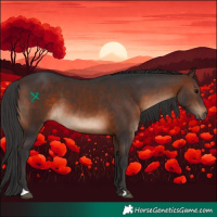 Horse Color:Brown 
