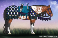 Horse Color:Bay Ice Appaloosa 