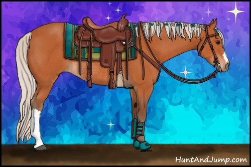Horse Color:Silver Bay Rabicano 