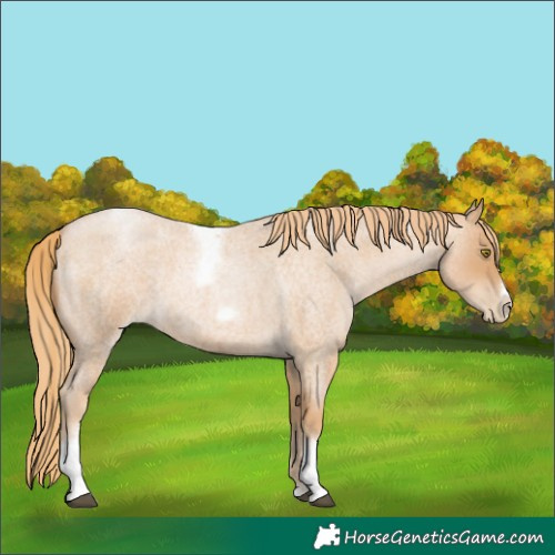 Horse Color:Red Roan Pearl Tobiano Frame 