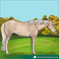 Horse Color:Chocolate Palomino Pearl 