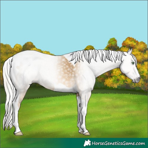 Horse Color:Gray Silver Amber Cream Champagne Tobiano 