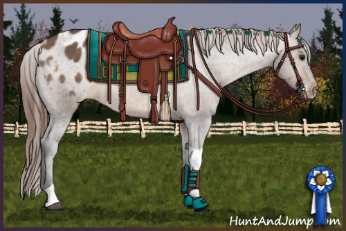 Horse Color:Brown Dun Tobiano Appaloosa 
