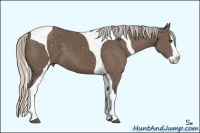 Horse Color:Silver Black Splash Tobiano 