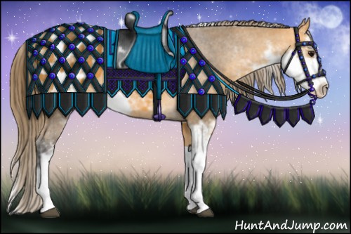 Horse Color:Buckskin Sabino Appaloosa 