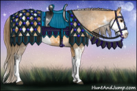 Horse Color:Buckskin Sabino Appaloosa