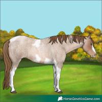 Horse Color:Liver Red Roan Pearl Tobiano Frame 