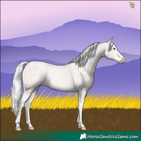 Horse Color:Cremello Tobiano 