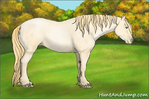Horse Color:Buckskin Roan Pearl  and Buckskin Roan Pearl 