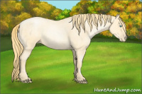 Horse Color:Buckskin Roan Pearl  and Buckskin Roan Pearl 