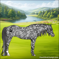 Horse Color:Black Blanket Rabicano