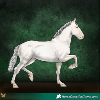 Horse Color:Silver Amber Cream Champagne Roan Pearl 