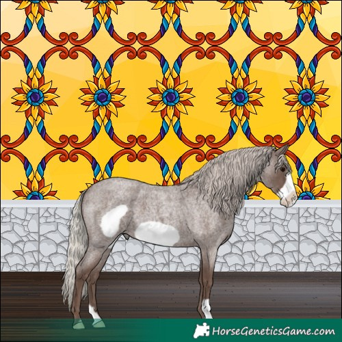 Horse Color:Silver Blue Roan Frame