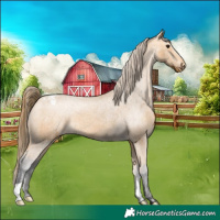 Horse Color:Buckskin Varnish 