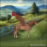 Horse Color:Red Roan 