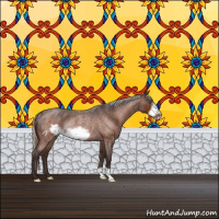 Horse Color:Silver Brown Roan Frame Rabicano
