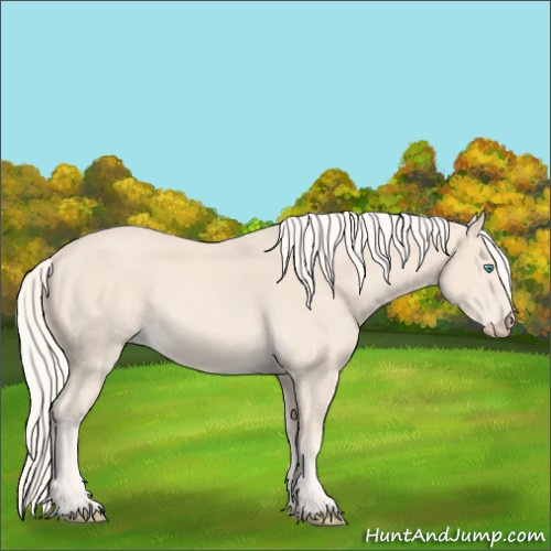Horse Color:Cremello 