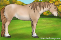 Horse Color:Chestnut Pearl 
