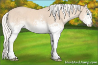 Horse Color:White Spotted Silver Perlino 