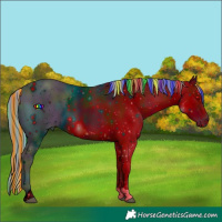 Horse Color:ERROR: UNKNOWN ANOMALY