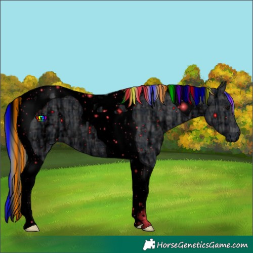 Horse Color:ERROR: UNKNOWN ANOMALY