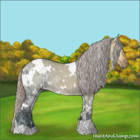 Horse Color:White Spotted Silver Brown Ice Dun 