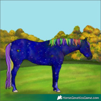 Horse Color:ERROR: UNKNOWN ANOMALY