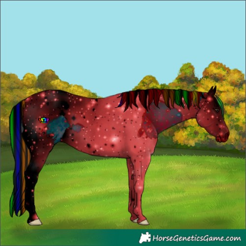 Horse Color:ERROR: UNKNOWN ANOMALY