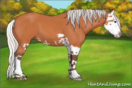 Horse Color:Silver Bay Splash