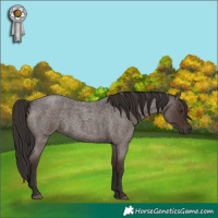 Horse Color:Liver Red Roan 