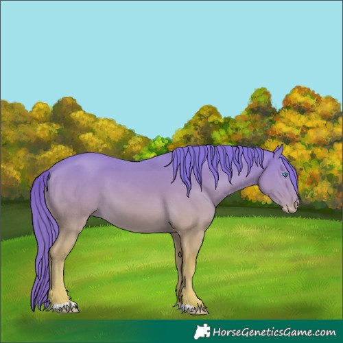 Horse Color:Perlino
