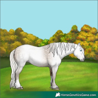 Horse Color:Gray Silver Buckskin Pearl Tobiano 