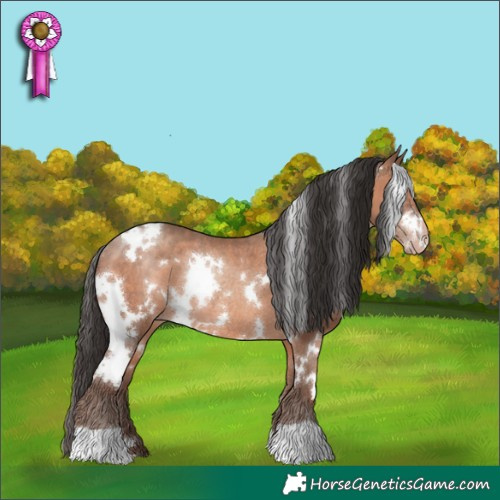 Horse Color:White Spotted Sable Champagne Rabicano