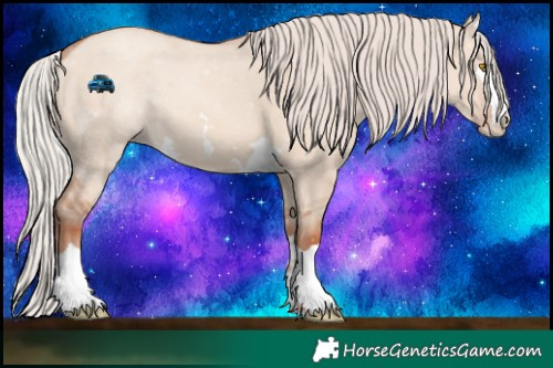 Horse Color:Silver Classic Champagne Dun 