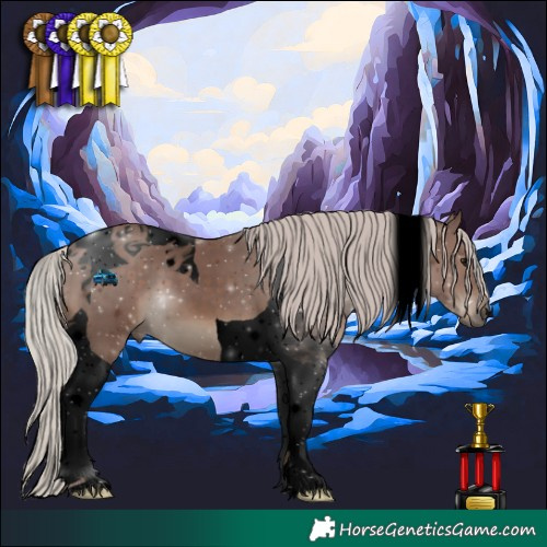 Horse Color:Void Silver Black Tobiano 