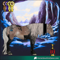Horse Color:Void Silver Black Tobiano