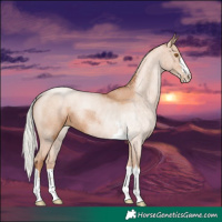 Horse Color:Silver Black Pearl Rabicano 