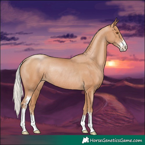 Horse Color:Silver Black Pearl Rabicano 