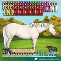 Horse Color:Palomino Pearl Dun 