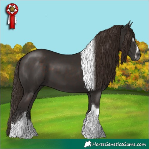 Horse Color:Liver Chestnut Sabino Tobiano 