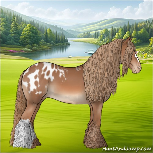 Horse Color:Chestnut Appaloosa 