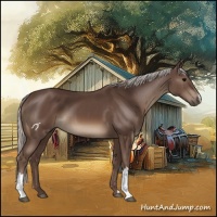 Horse Color:Silver Black 