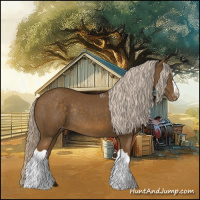 Horse Color:Chocolate Palomino Appaloosa Rabicano 